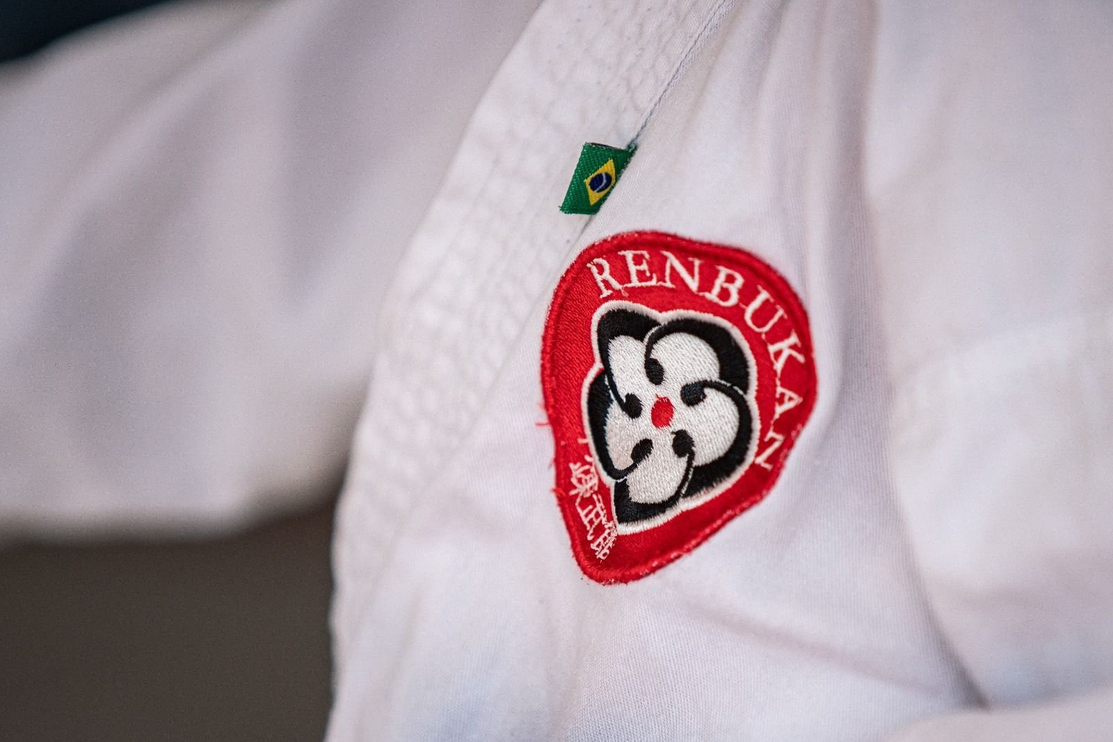 Sensei demonstra um chute lateral controlado em um aluno faixa amarela